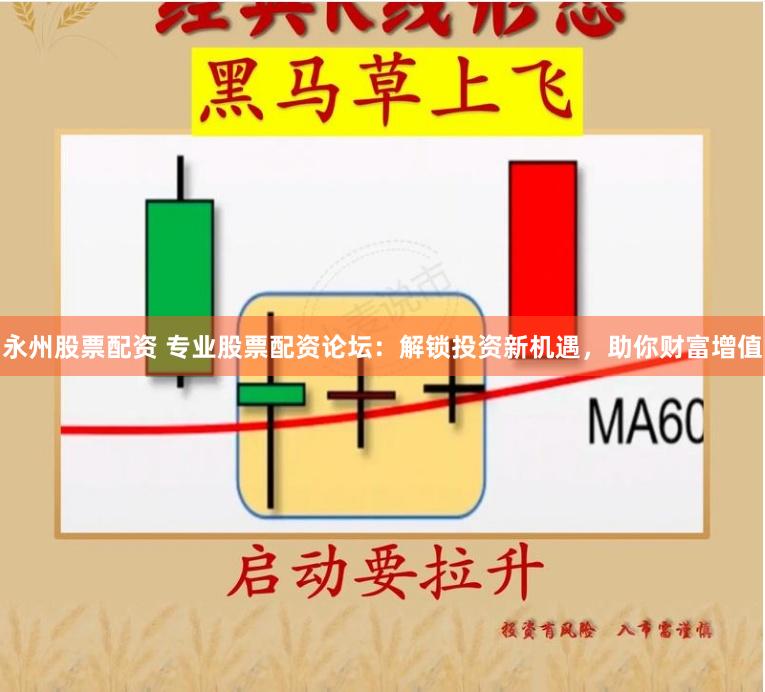 永州股票配资 专业股票配资论坛:解锁投资新机遇,助你财富增值