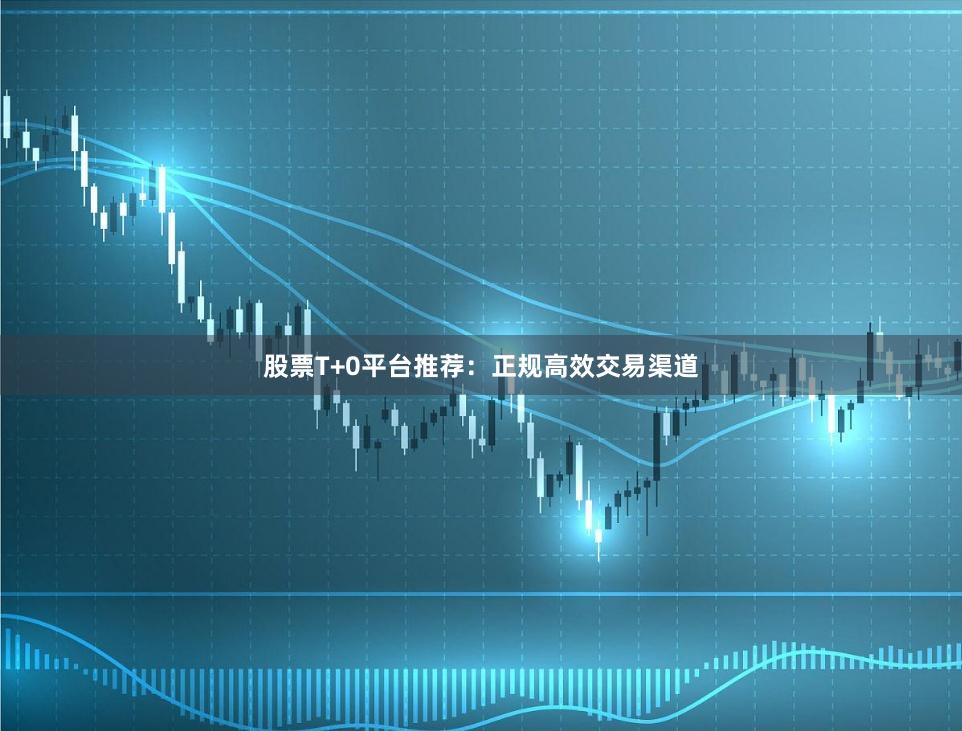 股票T+0平台推荐：正规高效交易渠道
