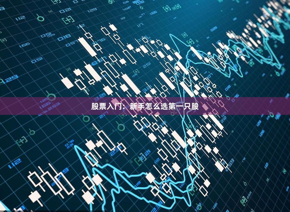 股票入门：新手怎么选第一只股
