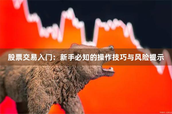 股票交易入门：新手必知的操作技巧与风险提示